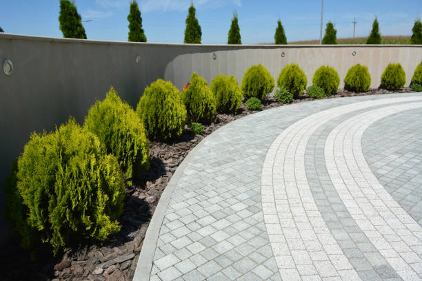 Professional Driveway Pavers in Hemet, CA